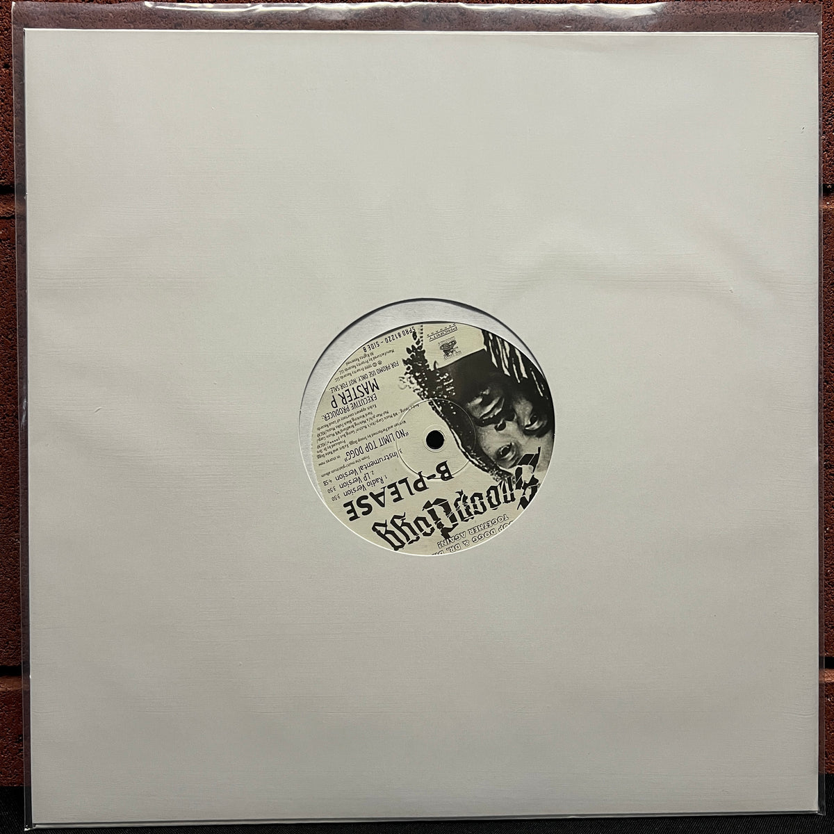 Used Vinyl: Snoop Dogg "B-Please" 12" Single (Promo)