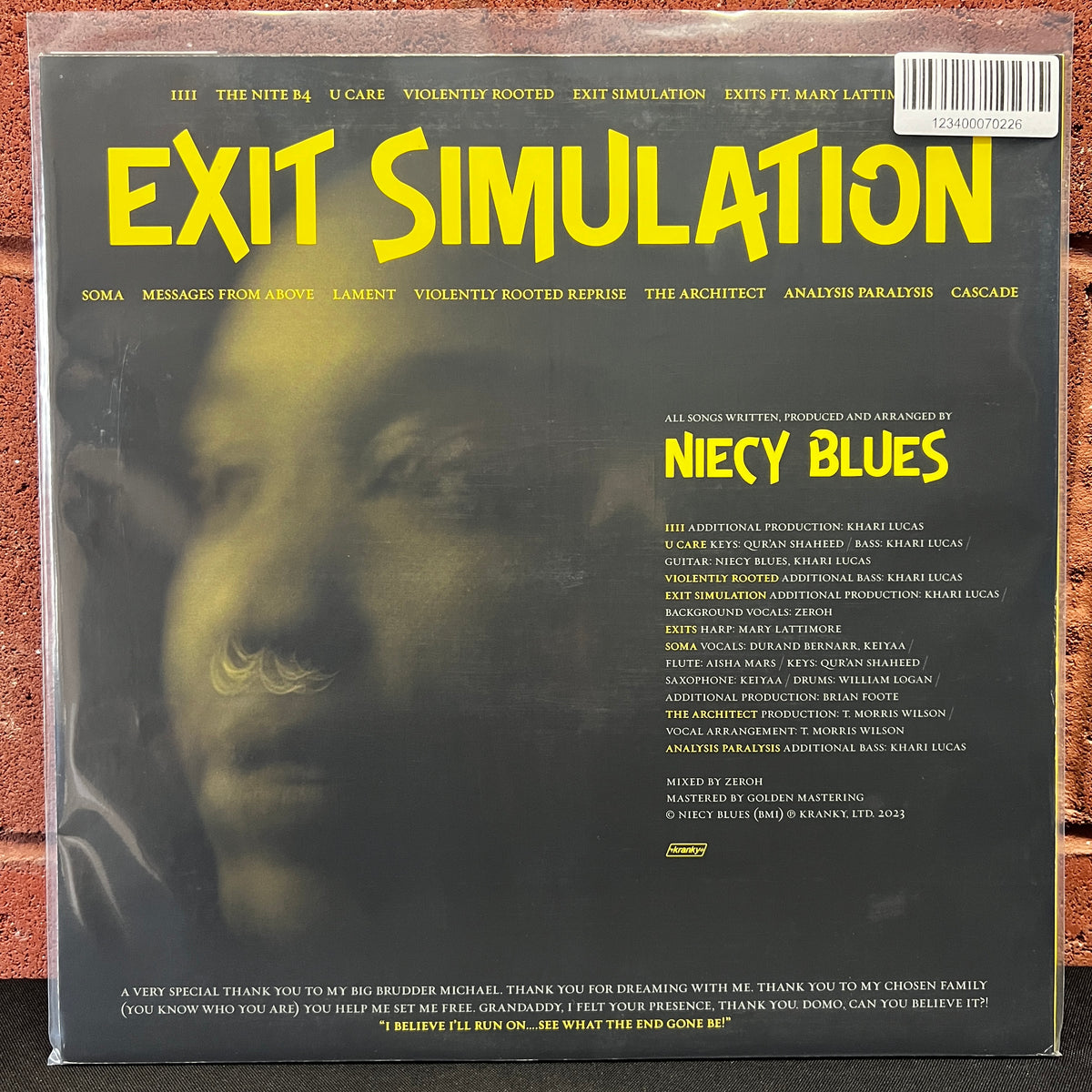Used Vinyl: Niecy Blues "Exit Simulation" LP (2023 Press)