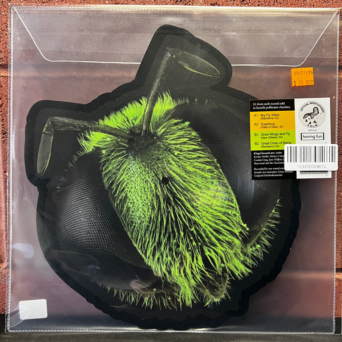 Used Vinyl: King Gizzard and the Lizard Wizard "Big Fig Wasp" 12" Picture Disc