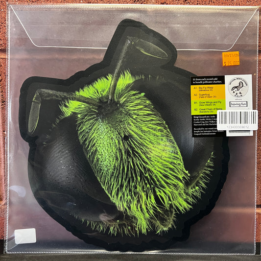 Used Vinyl: King Gizzard and the Lizard Wizard "Big Fig Wasp" 12" Picture Disc