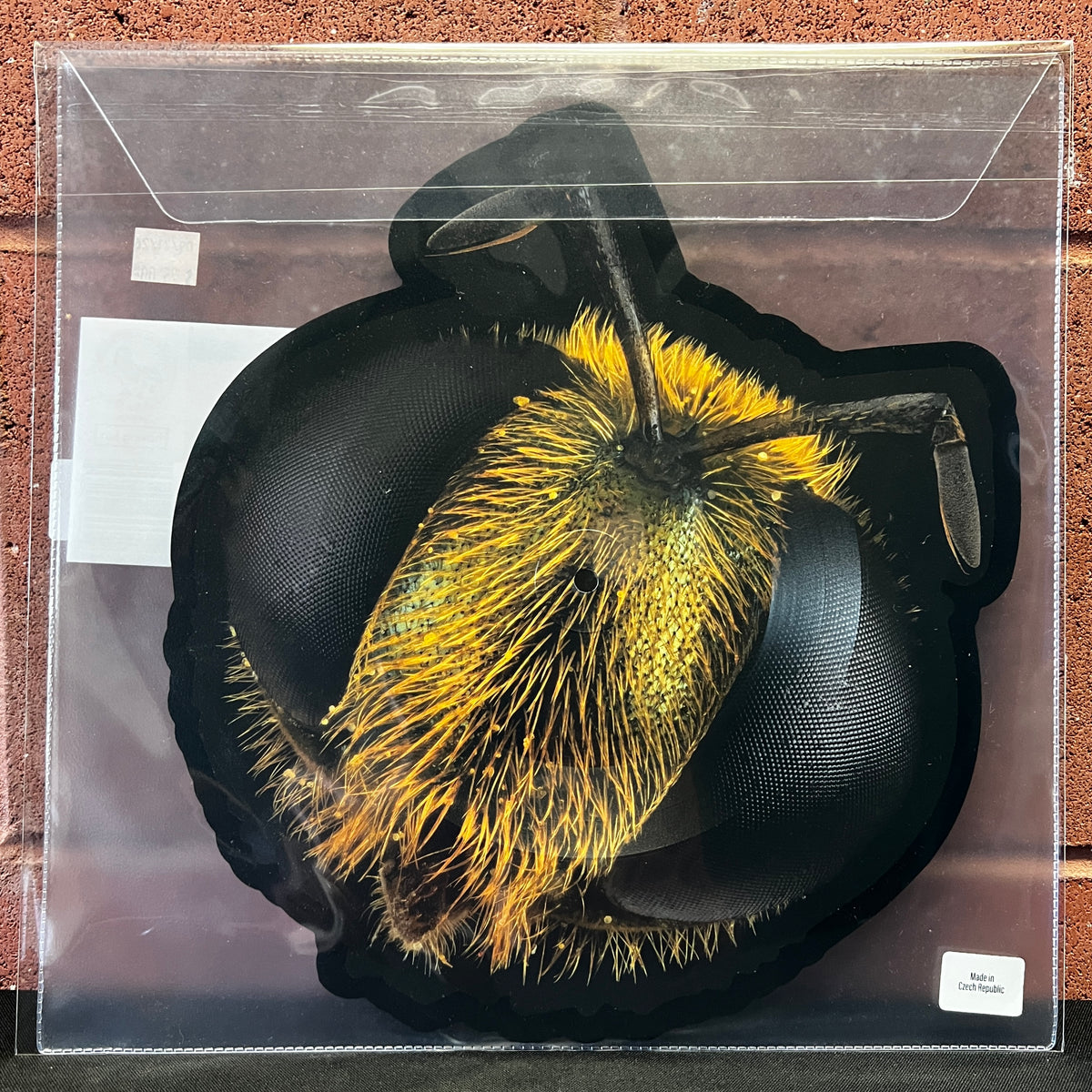 Used Vinyl: King Gizzard and the Lizard Wizard "Big Fig Wasp" 12" Picture Disc