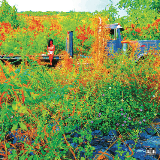 Jhene Aiko "Trip" 2xLP (Picture Disc) (RSD 2026)