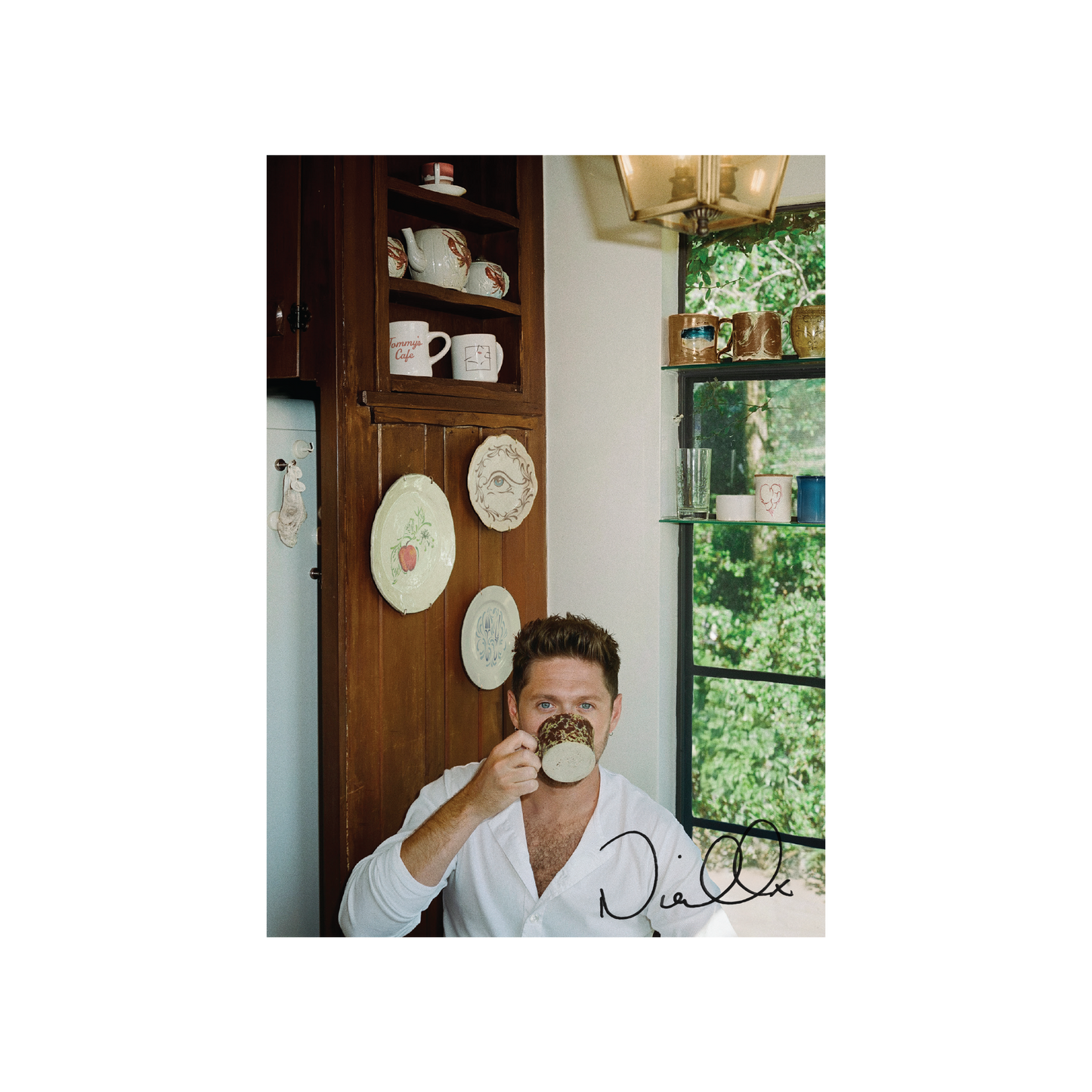 PRE-ORDER: Niall Horan "Dinner Party" LP (Indie Exclusive Porcelain Color Vinyl w/ Signed Insert)