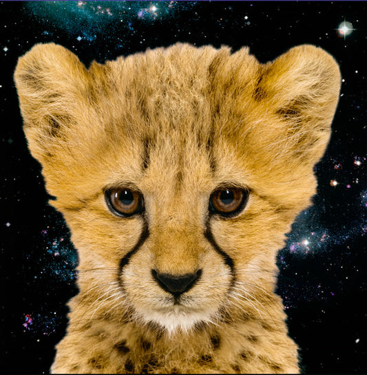 Simon and the Astronauts Featuring Rachel Haden "Simon and the Astronauts Featuring Rachel Haden" LP (Space Suit White vinyl)