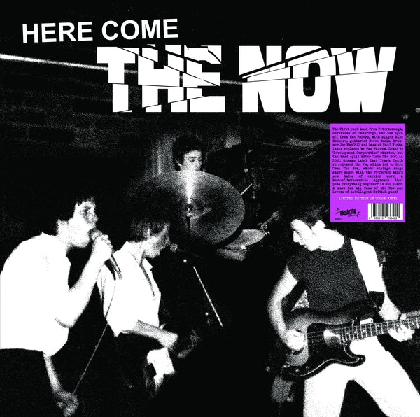 PRE-ORDER: The Now "Here Come The Now" LP (Color Vinyl)