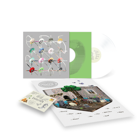 PRE-ORDER: feeble little horse "bitknot" LP (White Vinyl)