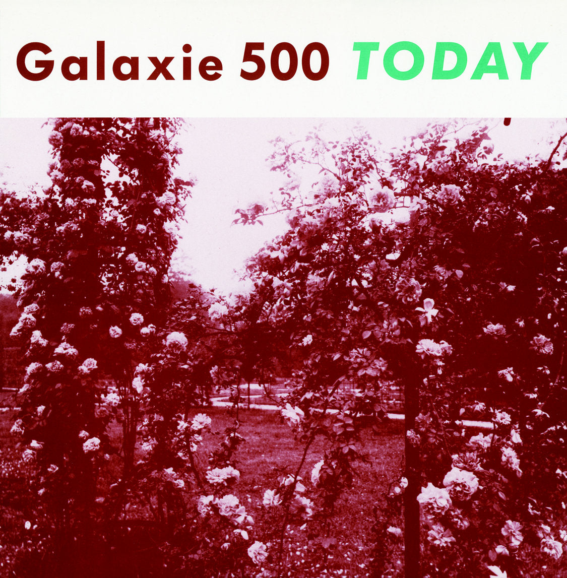 Galaxie 500 ''Today'' LP