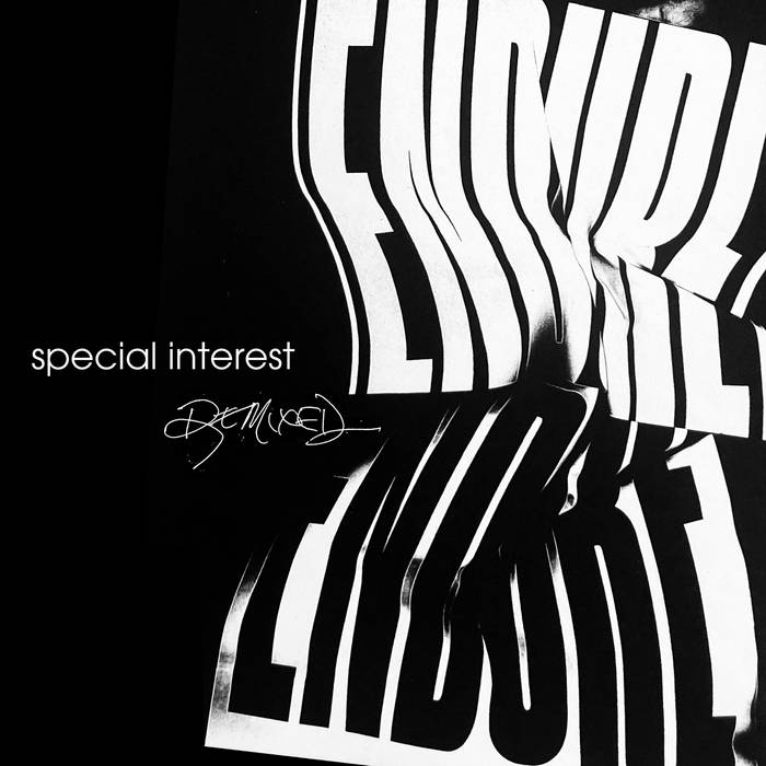 Special Interest "Endure Remixed" 12" EP