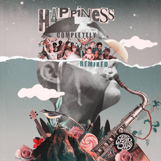 The Bins "Happiness Completely Remixed" LP