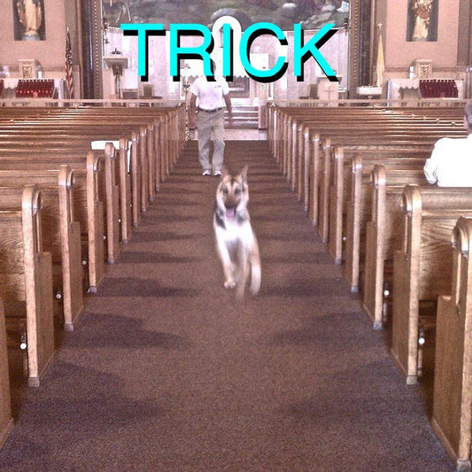 Alex G "Trick" Indie Exclusive Deluxe Edition LP + 7"