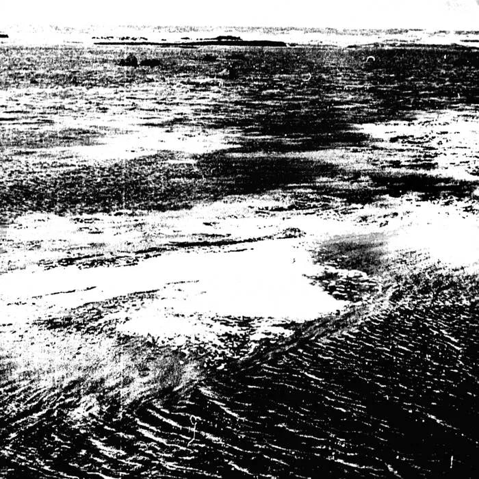 Bonus Beast "Mental Decay" LP