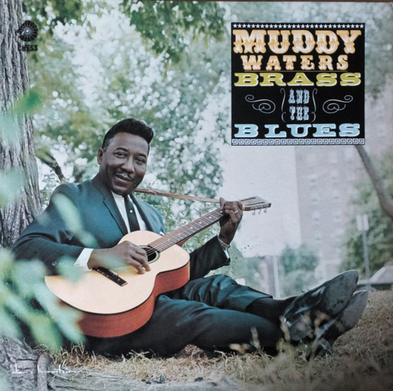 Muddy Waters "Muddy, Brass & The Blues" LP