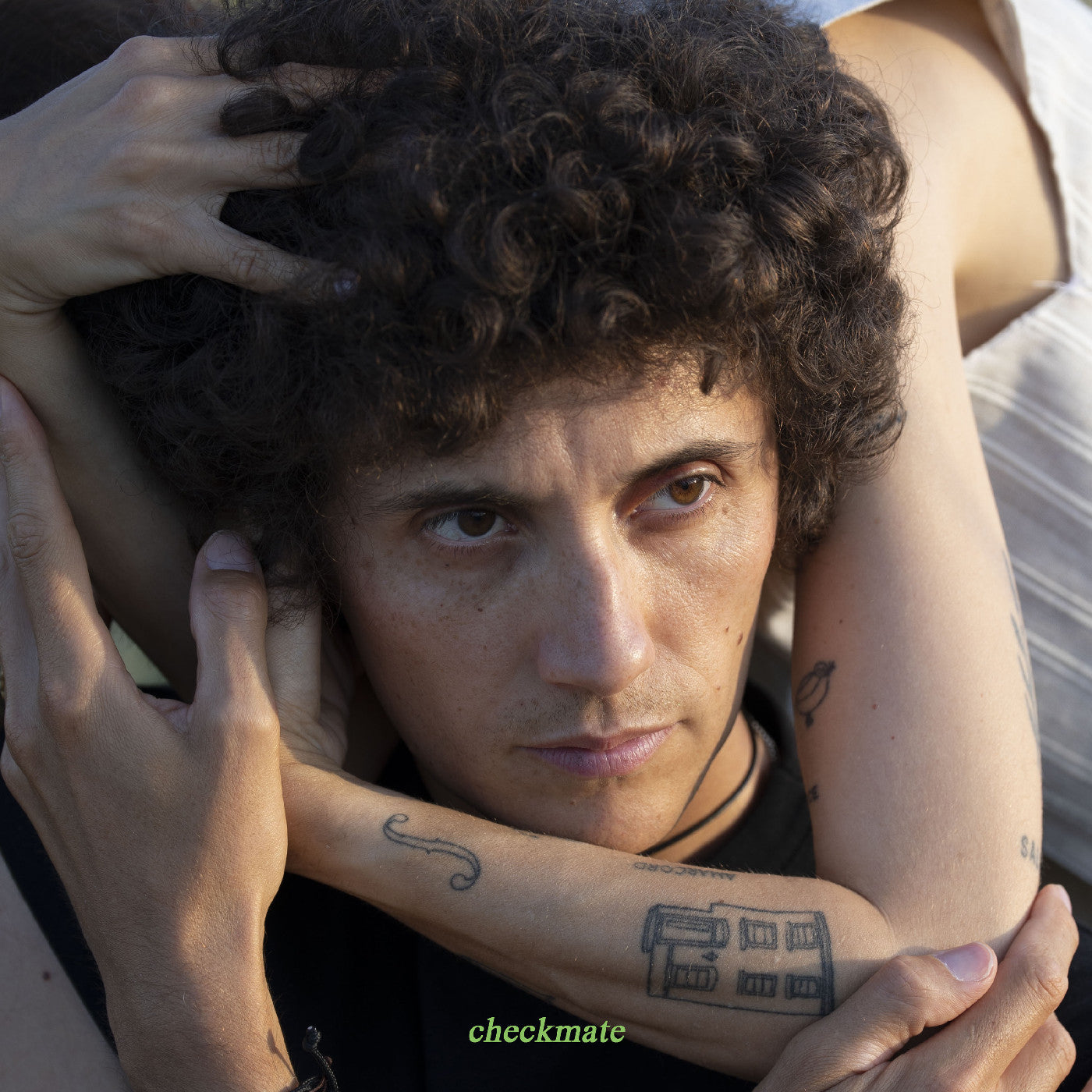 Ron Gallo "checkmate" CD
