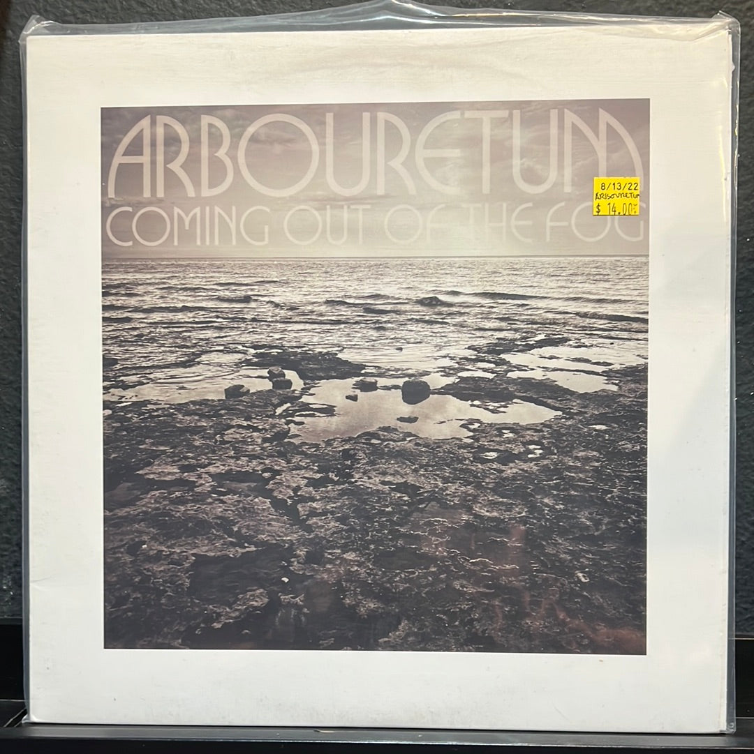 USED VINYL: Arbouretum “Coming Out Of The Fog” LP