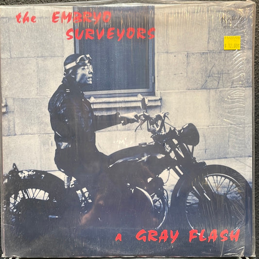 USED VINYL: The Embryo Surveyors “A Gray Flash” LP