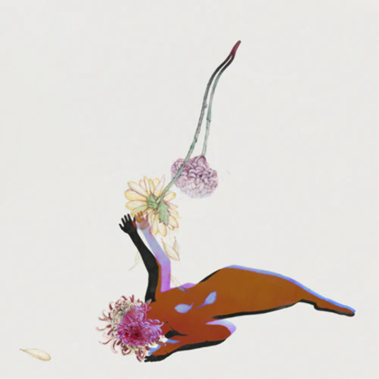 Future Islands "The Far Field" LP