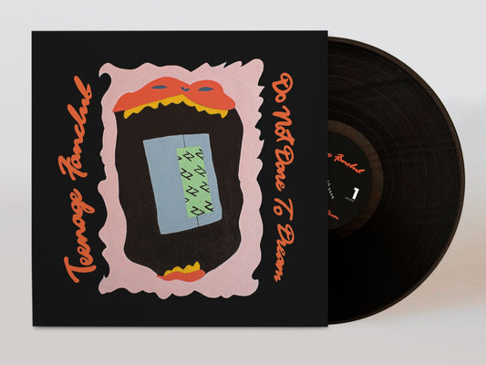 PRE-ORDER: Teenage Fanclub "Do Not Date to Dream" LP