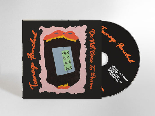 PRE-ORDER: Teenage Fanclub "Do Not Date to Dream" CD