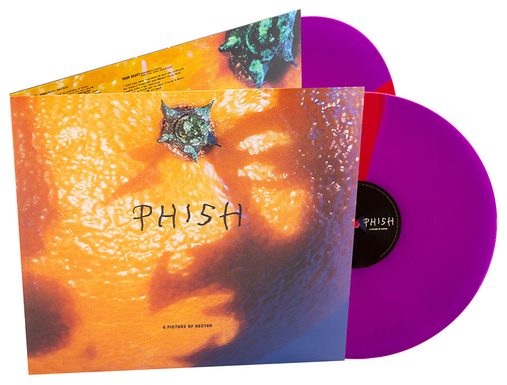 Phish "A Picture of Nectar" 2xLP (Purple and Red Split Vinyl)