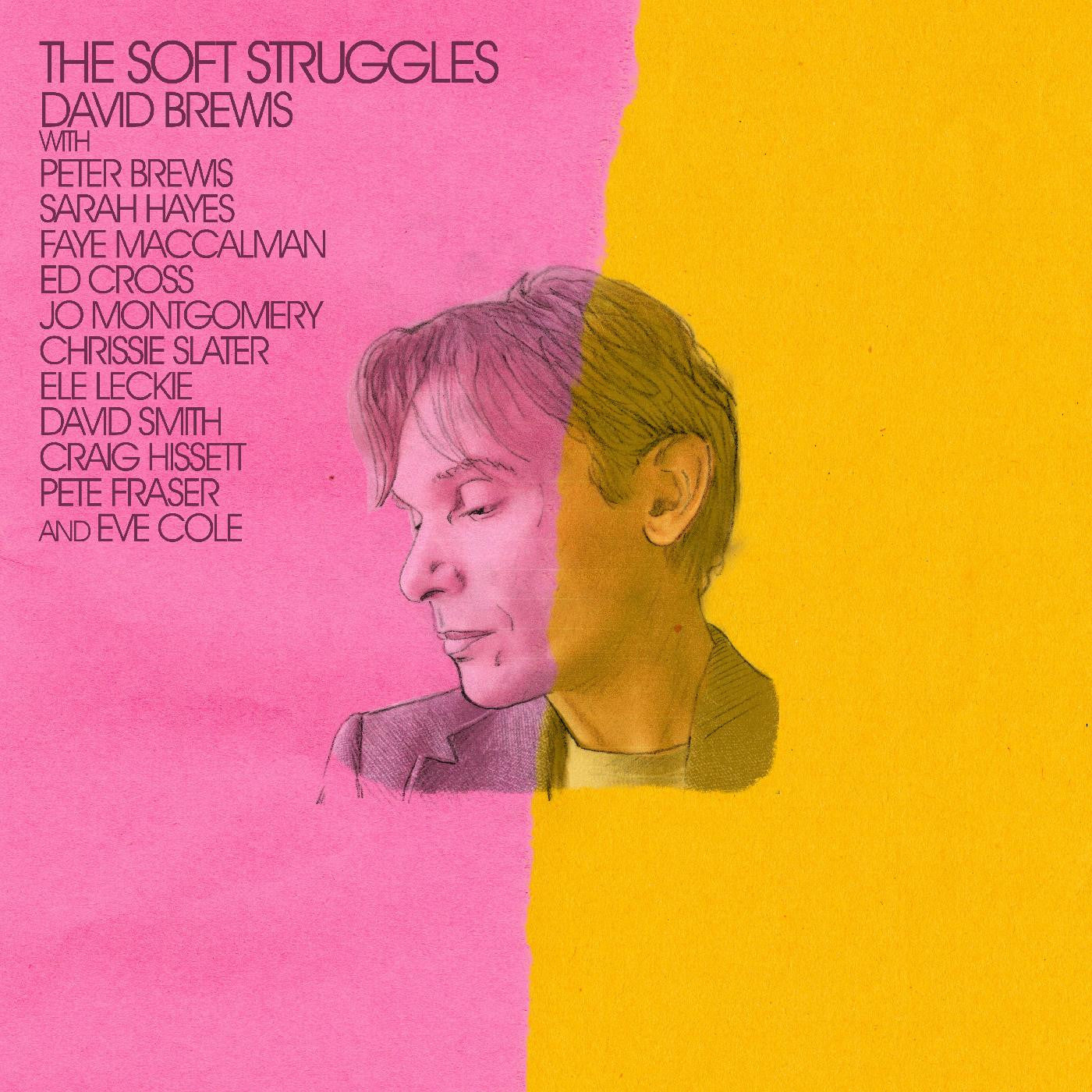 David Brewis "The Soft Struggles" LP