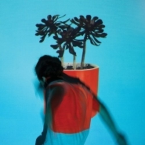 Local Natives "Sunlit Youth" LP