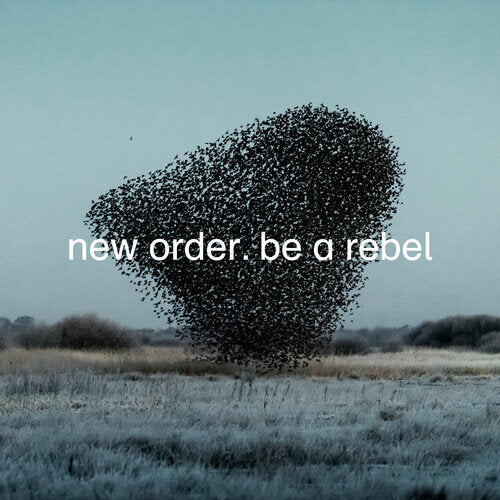 New Order "Be A Rebel" 12" (Dove Grey Vinyl)
