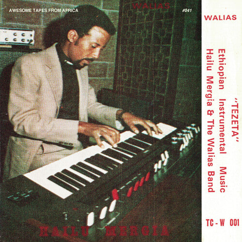 Hailu Mergia & Walias Band ''Tezeta'' LP