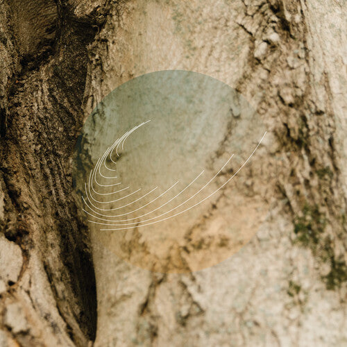 Field Works ''Maples, Ash, and Oaks: Cedars Instrumentals'' 12" (Iridescent Vinyl)