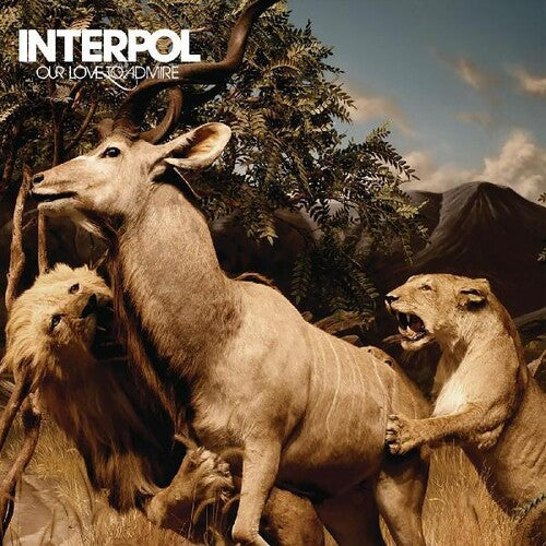 Interpol ''Our Love To Admire'' 2xLP