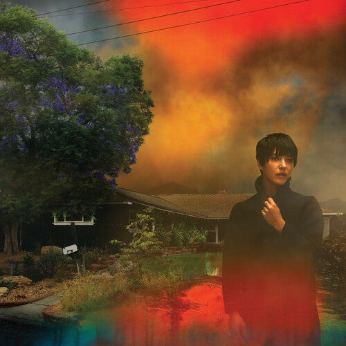 DAMAGED: Sharon Van Etten ''We've Been Going About This All Wrong'' LP (Marble Smoke Vinyl)