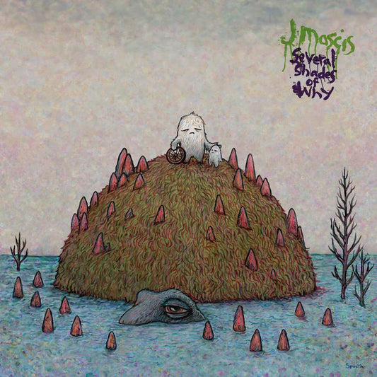 J Mascis ''Several Shades Of Why'' LP