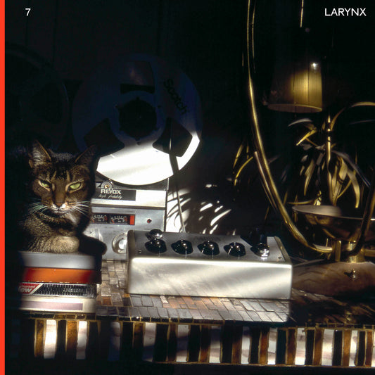 Lary 7 "Larynx" 2xLP