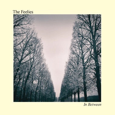 Feelies ''In Between '' LP