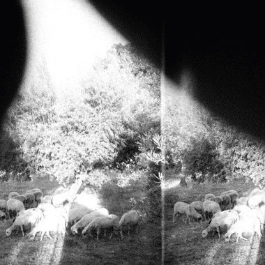Godspeed You Black Emperor! ''Asunder, Sweet And Other Distress'' LP