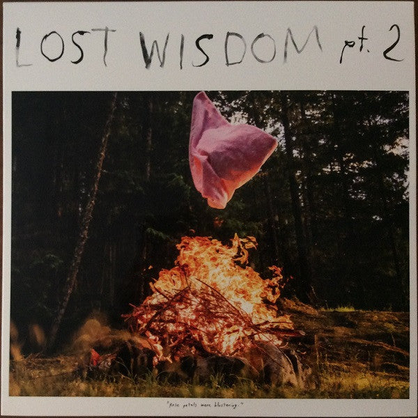 Mount Eerie With Julie Doiron ''Lost Wisdom Pt. 2'' LP