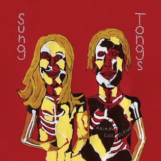 Animal Collective ''Sung Tongs'' 2xLP