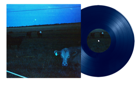 Waveform* "Antarctica" LP (Dark Blue)